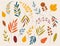 Hand drawn Autumn wild forest hand vector set. Yellow autumnal garden leaf, red fall leaf and fallen dry leaves.
