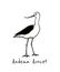 Hand drawn avocet