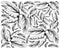 Hand Drawn Background of Dasymaschalon Lomentaceum Fruits