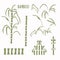 Hand drawn bamboo stem clip art motif collection. Set of modern wagara japanese style icons. Soft grass green neutral tones. Asian