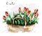 Hand drawn beautiful tulips bouquet. Cute flowers. Sketch. Fashion set.