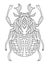 Hand-drawn beetle coloring page for adults vector illustration