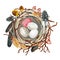 Hand-drawn big bird`s nest with spotted feathers, eggs, branch, acorns and berries