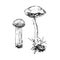Hand drawn birch bolete mushroom
