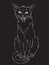 Hand drawn black cat over black background. Wiccan familiar spirit, pagan witchcraft theme design vector illustration.