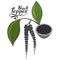 Hand drawn black pepper, spicy ingredient, black pepper logo, healthy organic food, spice black pepper on white background