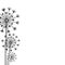 Hand drawn black silhouette three dandelion on a white background