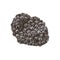 Hand drawn black truffle mushroom