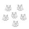 Hand drawn black vector illustration of group of beautiful fat adult young cats with big eyes isolated on a white background