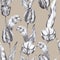 Hand drawn black and white charcoal pencil illustration tulip flowers in vintage style on a light brown background