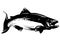 Hand drawn black and white salmon fish