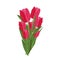 Hand drawn bouquet of pink and red tulips isolated vector illustration