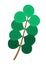 Hand-drawn branch, twig with green rounded leaves, the texture of chaotic thin lines, minimal, simple style