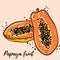 Hand-drawn bright exotic papaya fruit. Fruit, whole and halves. Ripe juicy fruits on a white background. Vector.