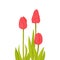 Hand drawn bunch of three side view red tulip flower, sketch style vector illustration isolated on white background. Realistic
