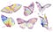 Hand drawn butterflies collection