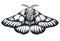 Hand drawn butterfly tattoo. Dotwork tattoo. Hemileuca griffini. Griffin`s sheepmoth or Canadian fleabane moth.