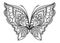 Hand drawn butterfly zentangle for t-shirt design or tattoo. Col