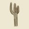 Hand drawn cactus. Exotic nature decorative houseplant concept template designed in retro style. Dessert plants sketchy vintage