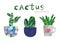 Hand drawn cactus indoor house plants in cute flower pots, isolated. Collage paper cut style. Summer botanical illustration