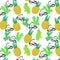 Hand drawn cactuses pineapples sunglasses pattern