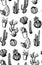 Hand Drawn Cactuses Seamless Pattern