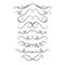 Hand-drawn calligraphy decorative vector line border