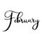 Hand drawn calligraphy lettering month February. Handwritten phrase for invitation card, calender, banner, poster, flyer.