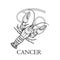 Hand drawn Cancer. Zodiac symbol in vintage gravure or sketch style. cancer or lobster. Retro astrology constellation drawing. Mys