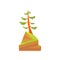 Hand drawn cartoon landscape scene with evergreen pine on the top of the hill. Coniferous tree. Nature design element