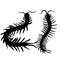 Hand-drawn centipede cartoon, insect icon. vector