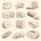 Hand drawn cheese. Various types of cheeses. Tasty brie, mozzarella and parmesan appetizer foods. Doodle sketch vintage