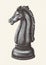 Hand drawn chess knight illustration