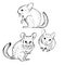 Hand drawn chinchilla. Vector sketch illustration