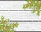 Hand drawn Christmas vector background, white wooden texture with chritmas tree branches, candycanes and gingerbread men