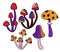 Hand drawn clipart illustration with hippie groovy mushrooms in orange purple blue red colors. Retro vintage 1960s 1970s