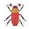 Hand drawn cockchafer with antennas and ornamented wings isolated on white background