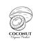 Hand drawn coconut icon.