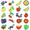 Hand drawn collection of cartoon colorful fruits