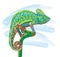 Hand drawn colored doodle outline chameleon illustration.