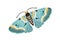Hand drawn colored elegant flying moth. Gorgeous and beautiful butterfly with pastel wings and antennae isolated on