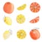 Hand drawn colorful citrus fruits watercolor illustrations set