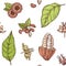 Hand drawn colorful cocoa seamless pattern. Engraved style illustration.