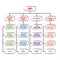 Hand drawn Company Hierarchical Structure. Popular organizational chart type. Employees are grouped with every employee having one