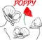 Hand drawn contour of poppy flowers