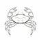 Hand-drawn Crab On White Background: Technological Symmetry Style