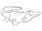 Hand drawn crocodile. Alligator animal, predator reptile with open mouth, vector illustration