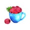 Hand drawn cup with raspberries on white background