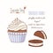 Hand drawn cupcake with doodle buttercream for pastry shop menu. Chocolate cookie flavor
