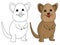 Hand drawn cute quokka Animal collection vector illustration isolated in a white background, wildlife Animal drawing